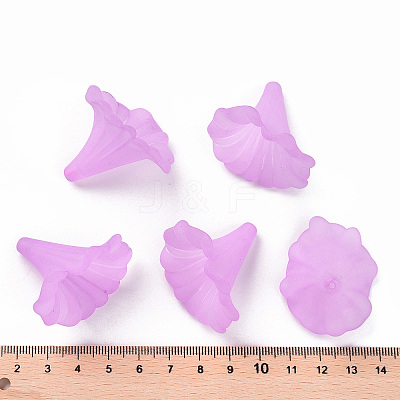 Transparent Acrylic Beads X-BSF796-C08-1