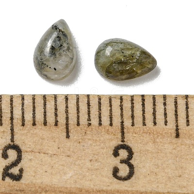Natural Labradorite Cabochons G-Q173-02A-07-1
