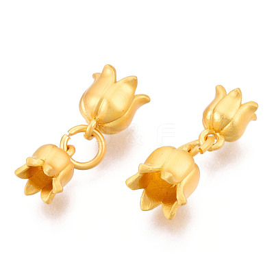 Alloy Pendants PALLOY-N176-06-1