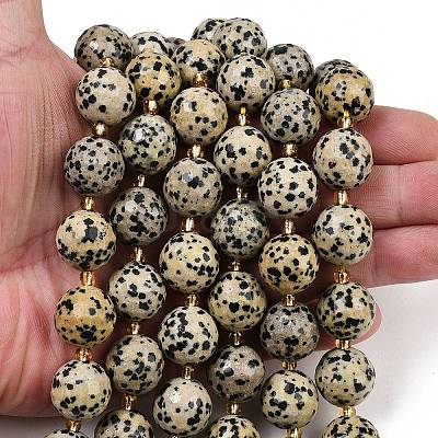 Natural Dalmatian Jasper Beads Strands G-C249-A02-16mm-1