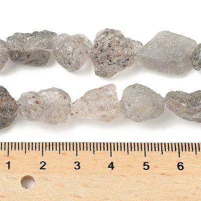 Natural Black Soya Bean Beads Strands G-M453-B01-1