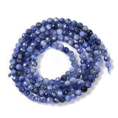 Natural Sodalite Beads Strands X-G-G139-A07-02-1