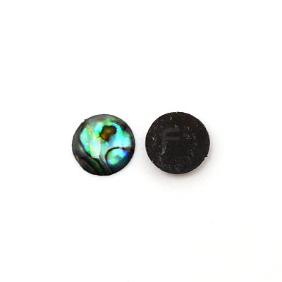 Paua Shell Cabochons SHEL-WH0001-002B-1