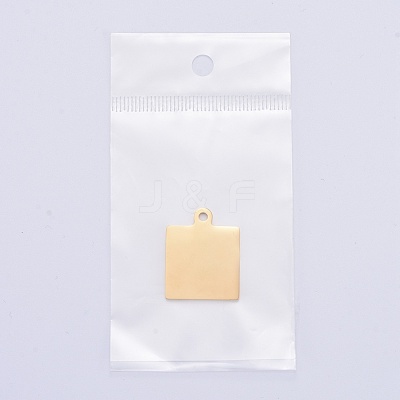 304 Stainless Steel Pendants STAS-I140-23B-G-1