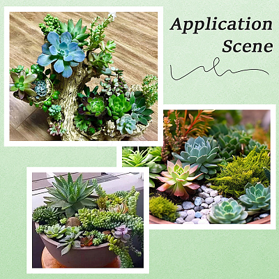 PVC Artificial Succulent Plant AJEW-SP0004-35C-1