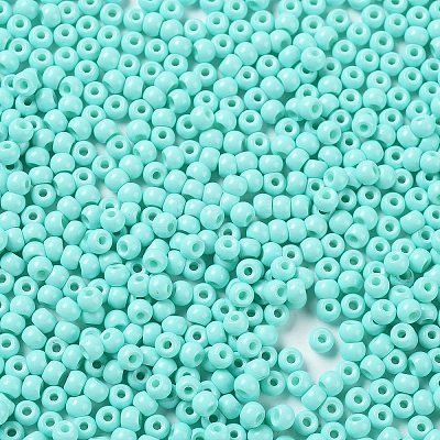 Baking Paint Glass Seed Beads SEED-H002-I-A525-1