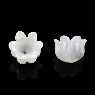 Natural White Shell Bead Caps SSHEL-N032-58B-1