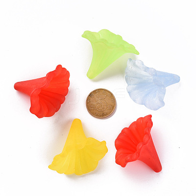 Transparent Acrylic Beads BSF796M-1