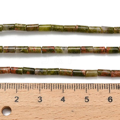 Natural Unakite Beads Strands G-P600-B06-01A-1
