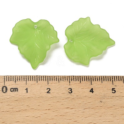 Frosted Acrylic Pendants FACR-G006-01A-1