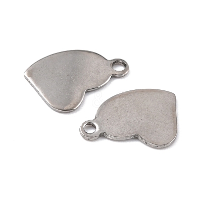 Tarnish Resistant 201 Stainless Steel Charms STAS-K217-77-1