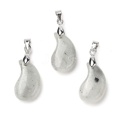Natural Labradorite Pendants G-NH0025-14P-06-1