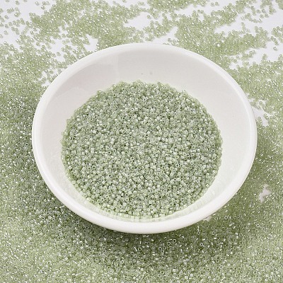 MIYUKI Delica Beads SEED-X0054-DB1765-1