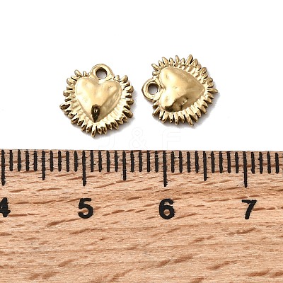 304 Stainless Steel Charms STAS-A127-02G-1