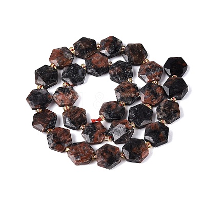Natural Labradorite Beads Strands G-N368-01A-20-1