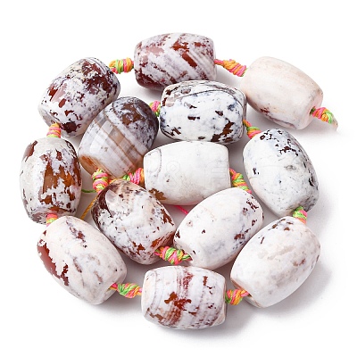 Natural Fire Crackle Agate Beads Strands G-P605-D01-01-1