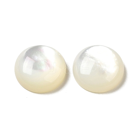 Natural White Shell Cabochons X-SSHEL-M022-01D-1
