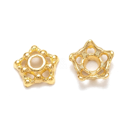 Tibetan Style Alloy Bead Caps LS-K08A7011-1