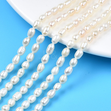 Natural Cultured Freshwater Pearl Beads Strands PEAR-N012-04B-1