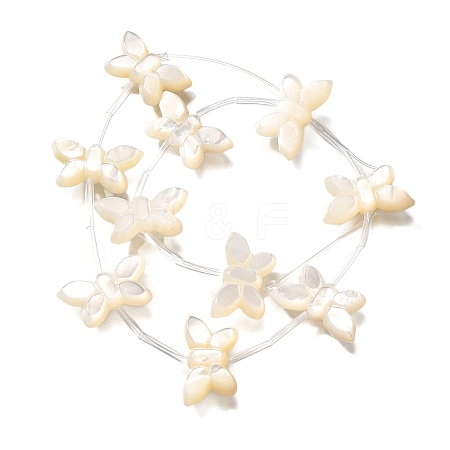 Natural White Shell Beads BSHE-Z008-02-1