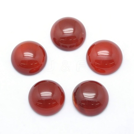 Natural Carnelian Cabochons G-P393-R37-12mm-1