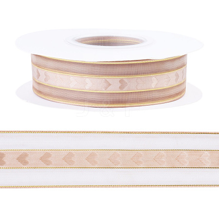 Polyester Lace Ribbon OCOR-TADJ0001-07F-1