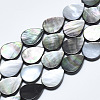 Natural Black Lip Shell Beads SSHEL-N036-036-1