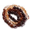 Natural Garnet & Citrine Beads Strands G-L610-B07-01-3