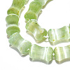 Dyed Natural Selenite Beads Strands G-T138-234E-3