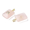 Natural Mixed Stone Pendants G-I391-03G-3