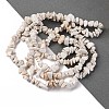 Magnesite Chip Bead Strands G-M205-75-6