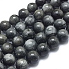 Natura Hawk's Eye Beads Strands G-D0001-22A-12mm-1