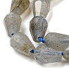 Natural Labradorite Beads Strands G-C080-B03-01-3