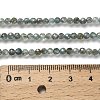 Natural Apatite Beads Strands LS-G-RM2025-A23-3mm-5