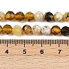 Natural Yellow Opal Beads Strands G-RM2025-A35-6mm-5