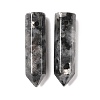 Natural Larvikite Pointed Pendants G-D460-01A-2