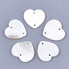 Freshwater Shell Links connectors SHEL-T012-63B-1