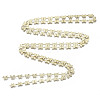 Brass Butterfly Link Chains CHC-N018-055-3