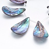 Natural Abalone Shell/Paua Shell Beads Strands SSHEL-P014-03-4