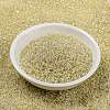 MIYUKI Round Rocailles Beads SEED-X0056-RR0577-2