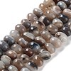 Natural Agate Beads Strands G-G021-03B-05-2