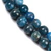 Natural Apatite Beads Strands G-I254-08D-6