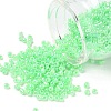 8/0 Glass Seed Beads X1-SEED-A011-3mm-144-1