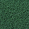 MIYUKI Round Rocailles Beads SEED-JP0008-RR2048-3