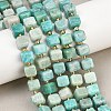 Natural Amazonite Beads Strands G-F832-A04-01-1