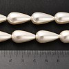 Electroplate Shell Pearl Beads Strands BSHE-G010-10x20mm-01-5