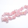 Natural Rose Quartz Beads Strands LS-G-O049-B-60-3