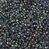 Glass Seed Beads SEED-Z001-B-C01-3