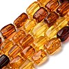 Gradient Color Natural Amber Beads Strands G-F803-D01-03-2