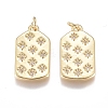 Brass Micro Pave Cubic Zirconia Pendants ZIRC-G168-31G-1